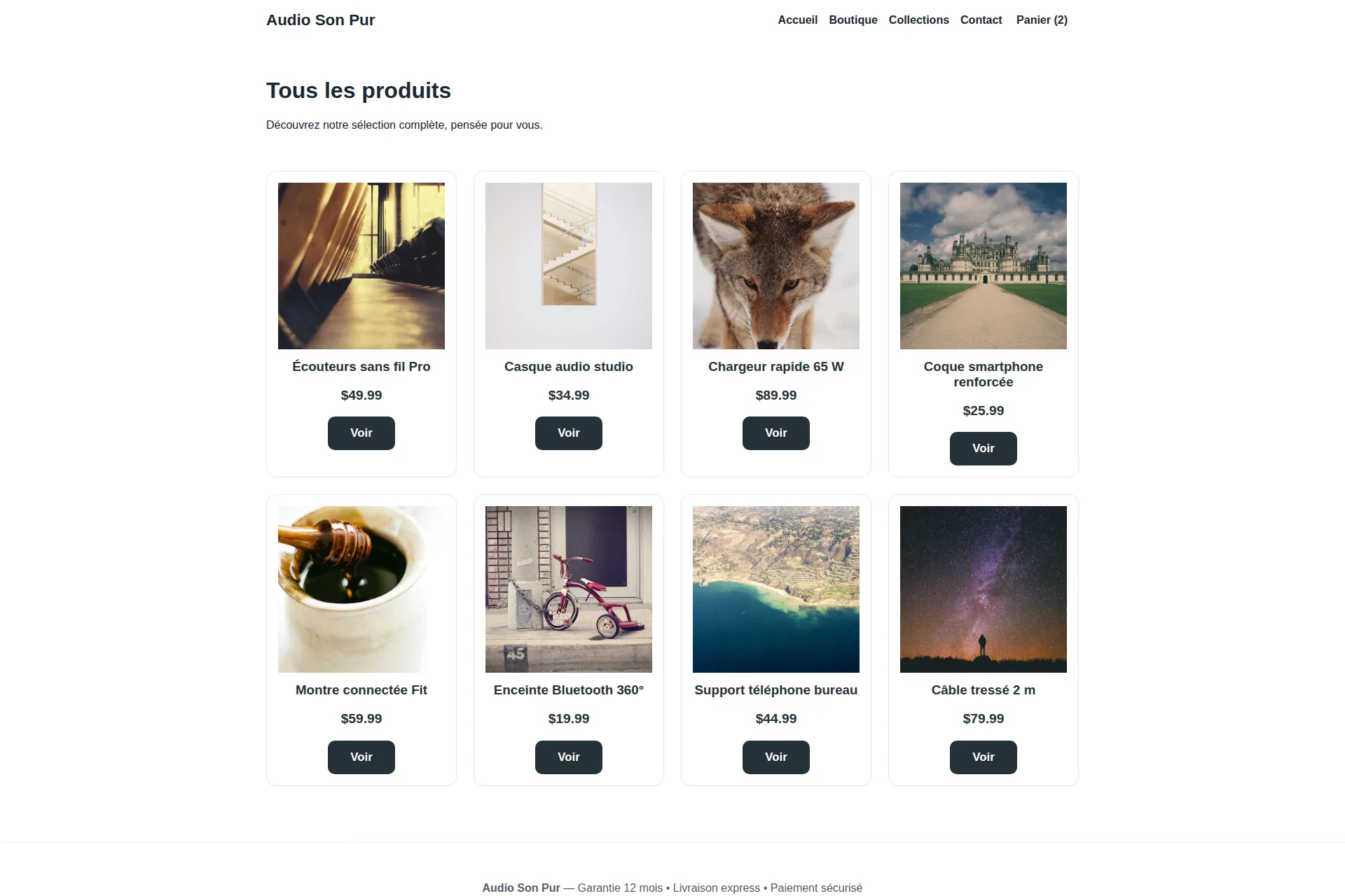 Shopify Theme — Audio Son Pur – Image 3