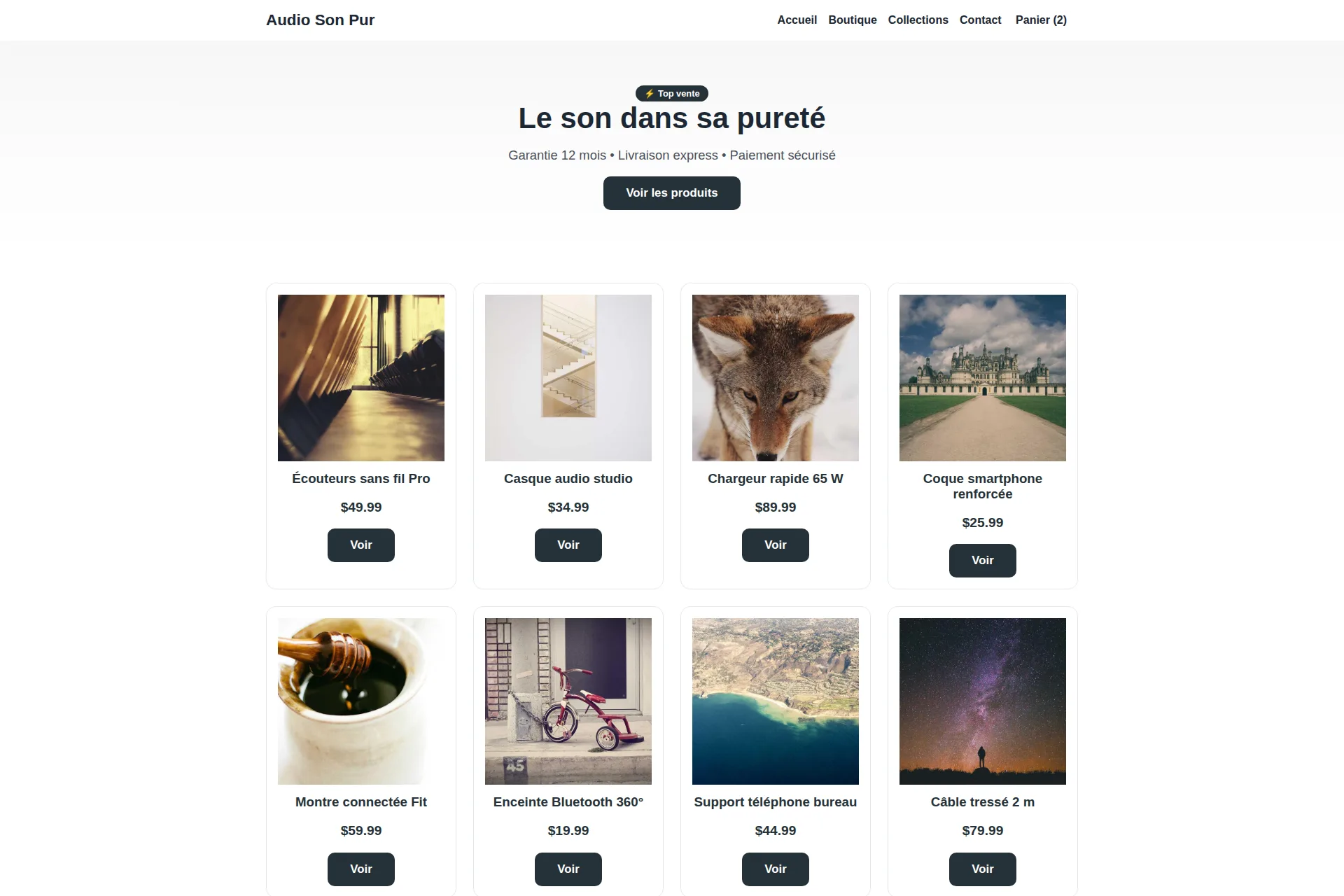 Shopify Theme — Audio Son Pur
